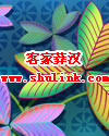 客家莽汉